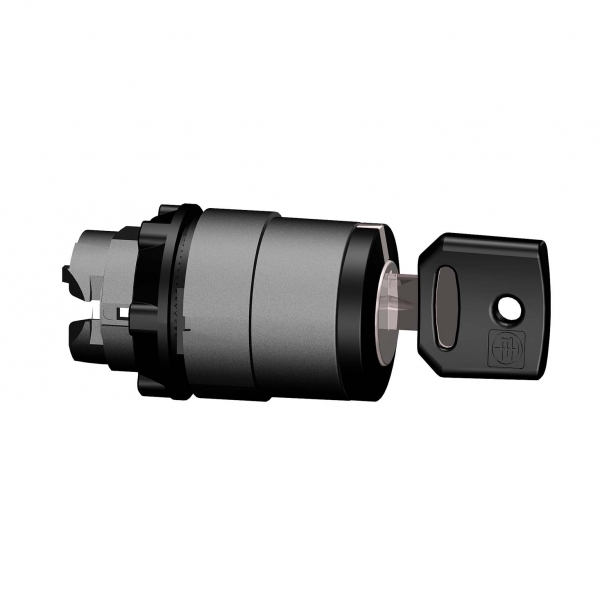 Schneider Electric ZB5AG0220 ГОЛОВКА ПЕРЕКЛЮЧАТЕЛЯ С КЛЮЧЕМ, 2 ПОЗИЦ. ZB5AG0220