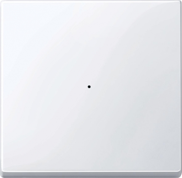 Schneider Electric MTN619125 SM, КЛАВИША ДЛЯ МОДУЛЯ 1 КН. ВЫК, АК.БЕЛ Schneider Electric MTN619125 SM, КЛАВИША ДЛЯ МОДУЛЯ 1 КН. ВЫК, АК.БЕЛ
