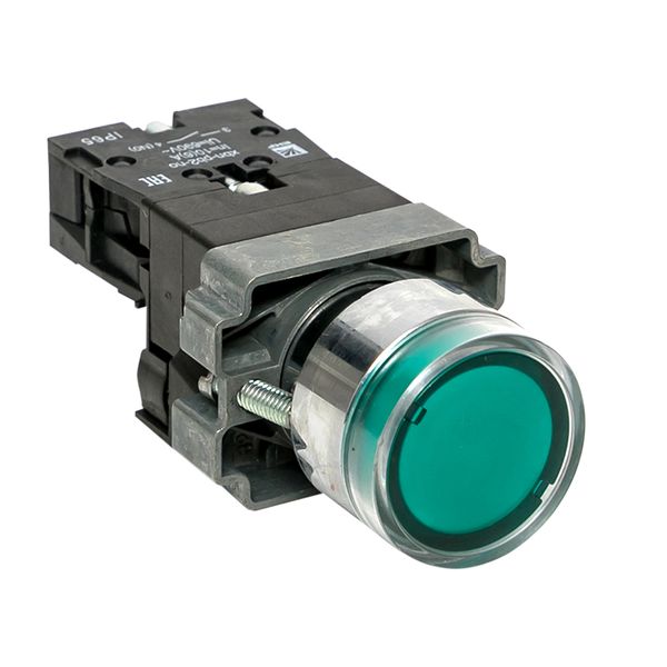 EKF xb2-bw31-230-65 Кнопка BA31 с подсветкой 230В зеленая NO IP65 EKF PROxima EKF xb2-bw31-230-65 Кнопка BA31 с подсветкой 230В зеленая NO IP65 EKF PROxima