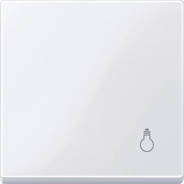 Schneider Electric MTN438925 MERTEN КЛАВИША с пиктограммой "свет", АКТИВНЫЙ БЕЛЫЙ, SM Schneider Electric MTN438925 MERTEN КЛАВИША с пиктограммой "свет", АКТИВНЫЙ БЕЛЫЙ, SM