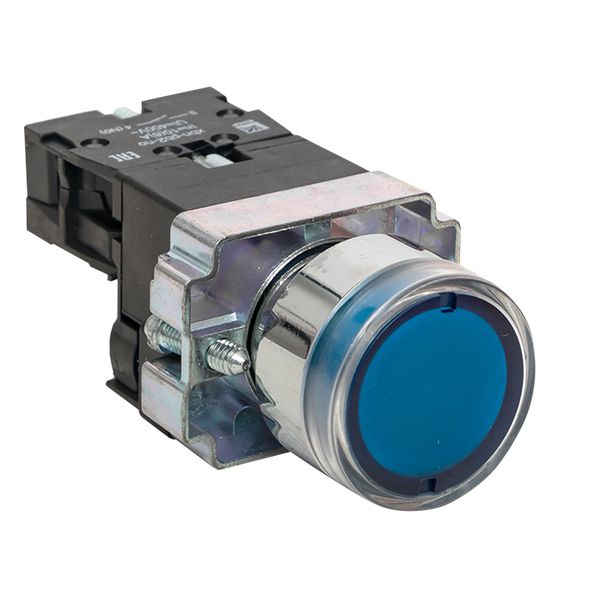 EKF xb2-bw61-24 Кнопка BW61 с подсветкой 24В синяя NO EKF PROxima