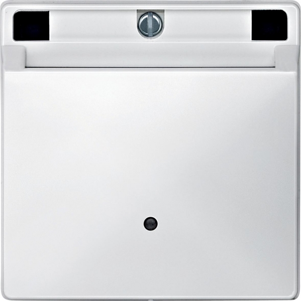 Schneider Electric MTN315319 MERTEN НАКЛАДКА с карточкой ключом, ПОЛ.БЕЛЫЙ , SD