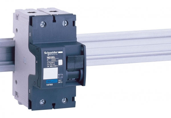 Schneider Electric АВТОМАТИЧЕСКИЙ ВЫКЛ. NG125L 2П 10A C (арт.18788)