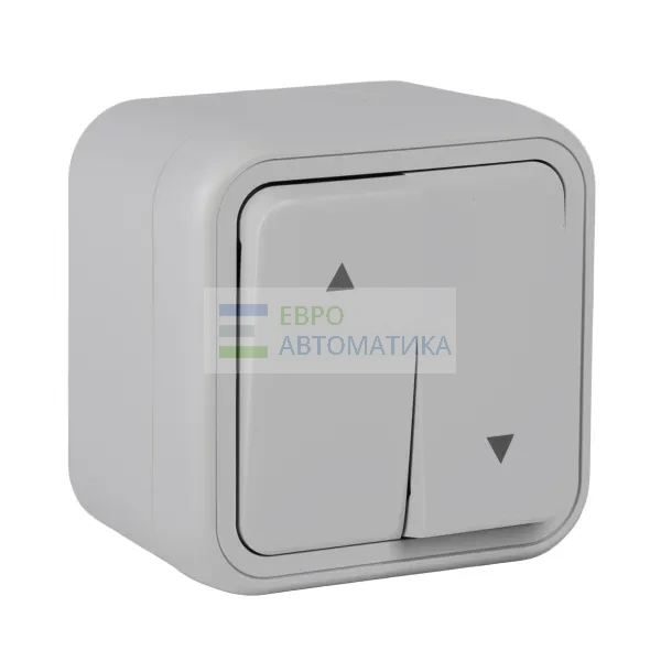 EKF BT1-SWG-25 Выключатель, для жалюзи серый, ОП, винтовые клеммы серый, Бронто EKF