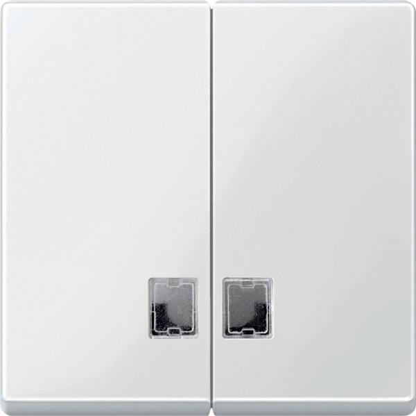 Schneider Electric MTN438519 MERTEN КЛАВИША двойная с окошком д/световой индикации, ПОЛ.БЕЛЫЙ, SM