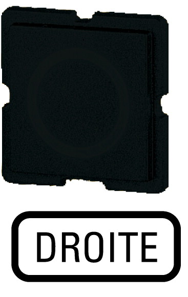 Шильдик , цвет черный, DROITE (335TQ25)