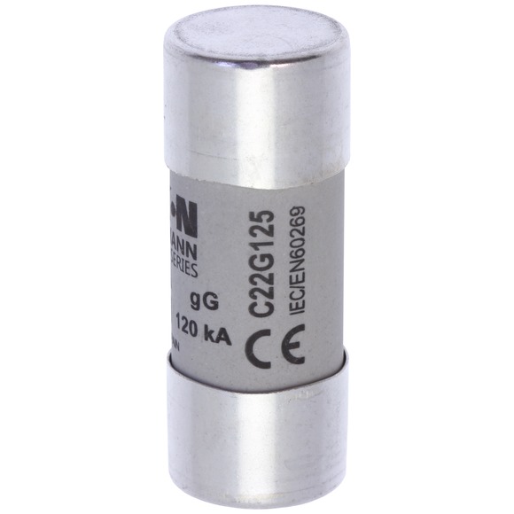 Предохранитель цилиндрический, 22 x 58 125A GG 400V AC