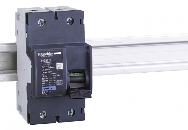 Schneider Electric АВТОМАТИЧЕСКИЙ ВЫКЛ. NG125H 2П 80A C (арт.18722)