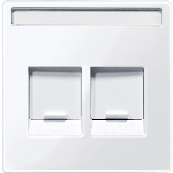Schneider Electric MTN4564-0325 MERTEN ЦЕНТР.ПЛАТА д/штепс. разъемов 2поста с полем д/надп., АКТИВНЫЙ БЕЛЫЙ, SM