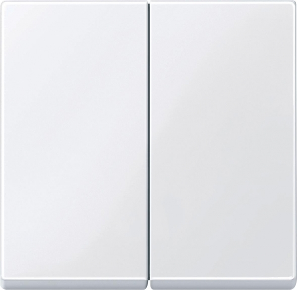 Schneider Electric MTN432525 MERTEN КЛАВИША Х2, АКТИВНЫЙ БЕЛЫЙ, SM