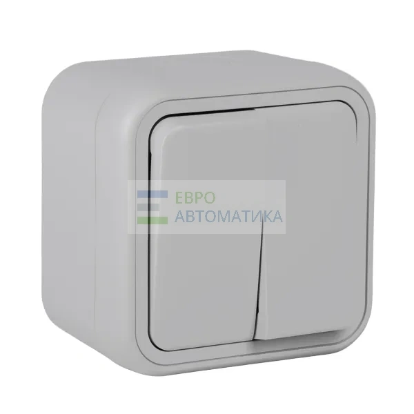 EKF BT1-SWG-20 Выключатель, двухклавишный, ОП, автоматические клеммы серый, Бронто EKF