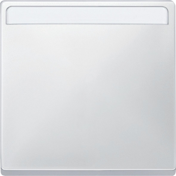 Schneider Electric MTN412319 MERTEN КЛАВИША с полем д/надписи, ПОЛ.БЕЛЫЙ, SD