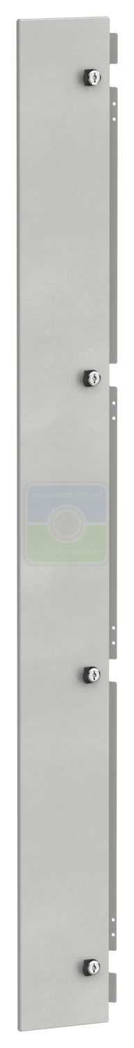 FO-00-DBC-200-020 - FORMAT Дверь встроенного отсека 2000х200 IEK